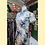 Thumbnail: 米黑色長旗袍 Beige and Black Floral Long Qipao P-037